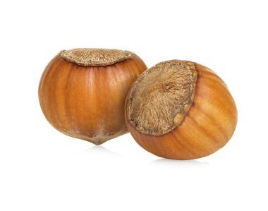 Fındık beyaz arka planda izole