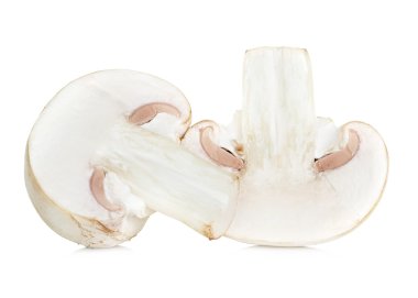 Şampiyon mantarları beyaz arkaplanda izole