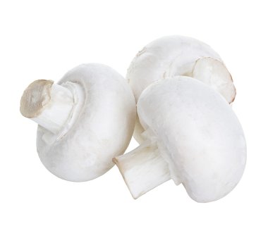 Şampiyon mantarları beyaz arkaplanda izole