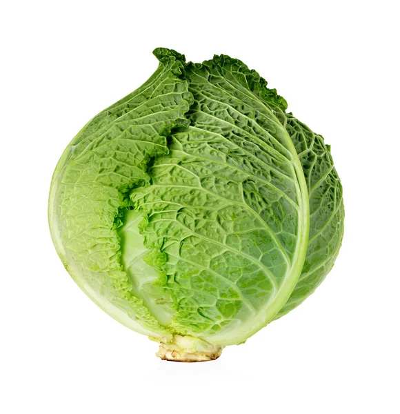 Savoy cabbage isolated on white background — Stock Photo, Image