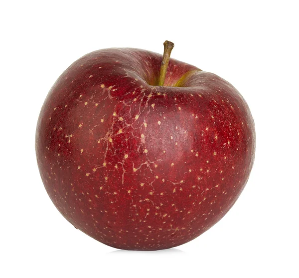 Manzana roja aislada sobre fondo blanco —  Fotos de Stock