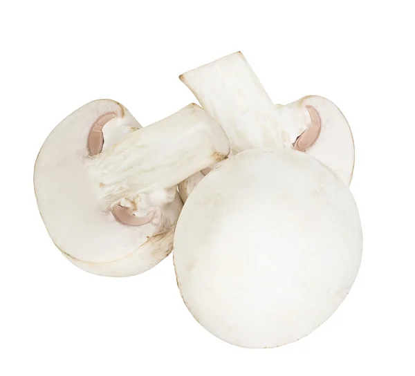 Champignon champignons geïsoleerd op witte achtergrond — Stockfoto