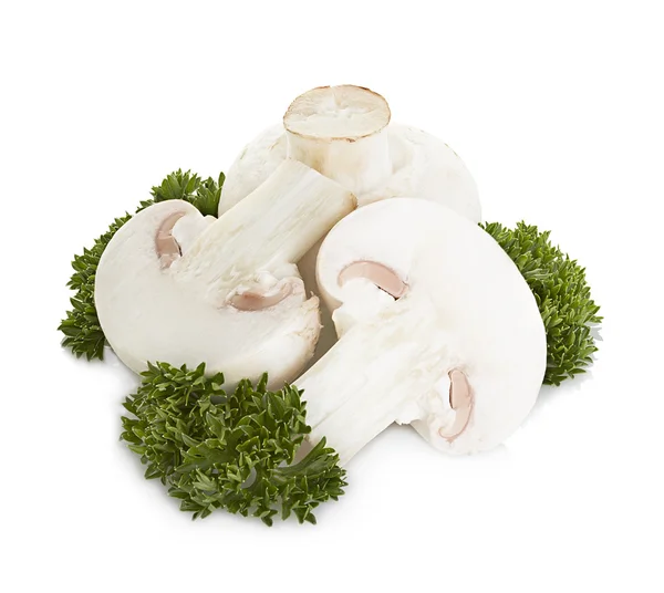 Champignon mushrooms isolated on white background — Stock Photo, Image