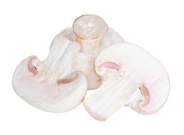 Şampiyon mantarları beyaz arkaplanda izole