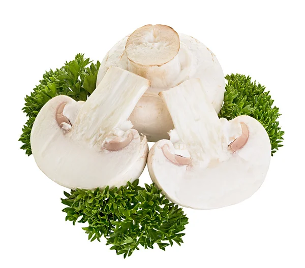 Grzyby champignon izolowane na białym tle — Zdjęcie stockowe