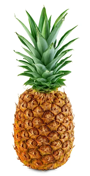 Ananas isolerad på vit — Stockfoto