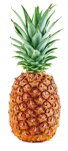 Ananas isolerad på vit — Stockfoto