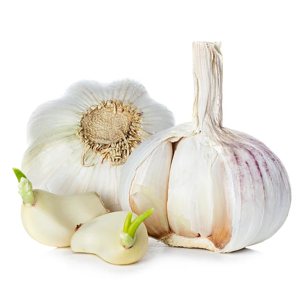 Garlic isolated on white background — Stock Photo, Image