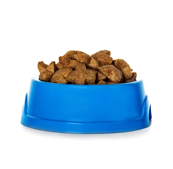 Dry dog food — Stock Photo, Image