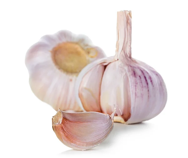 Garlic isolated on white background — Stock Photo, Image