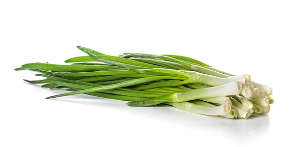 Green Onion on white background — Stock Photo, Image