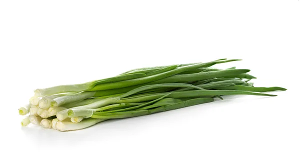 Zelené cibule na bílém pozadí — Stock fotografie