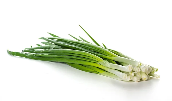 Cipolla verde su sfondo bianco — Foto Stock