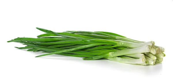 Green Onion on white background — Stock Photo, Image