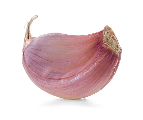 Knoblauch isoliert auf weißem Hintergrund — Stockfoto