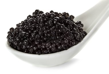 Beyaz arka planda izole edilmiş kaşıkta siyah havyar.