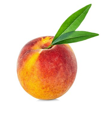 Beyaz zemin üzerinde yaprak izole şeftali