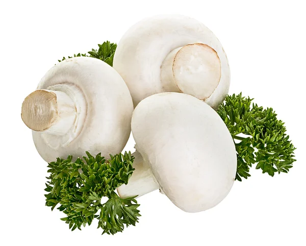 Champignon mushrooms isolated on white background — Stock Photo, Image