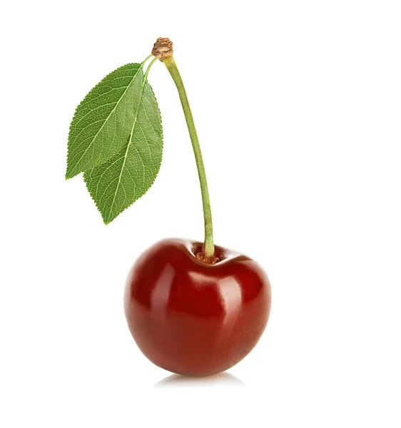 Cherry izolované na bílém pozadí — Stock fotografie