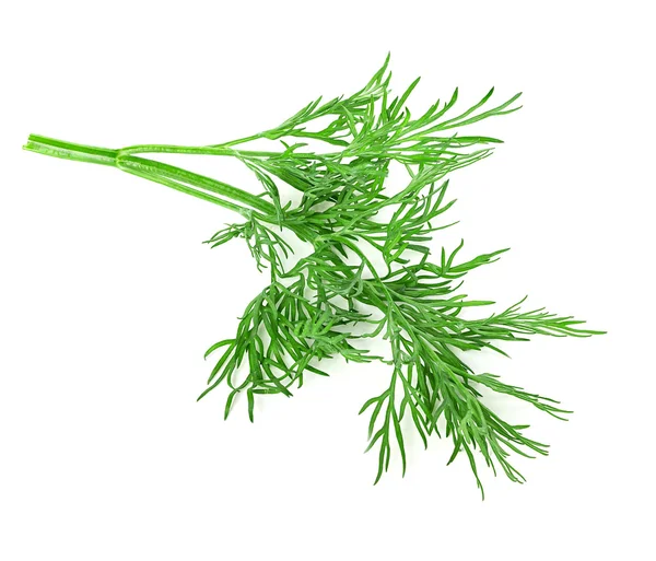 Dill isolado no fundo branco — Fotografia de Stock