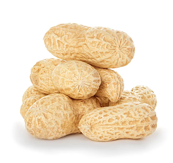 Amendoim com casca isolado — Fotografia de Stock