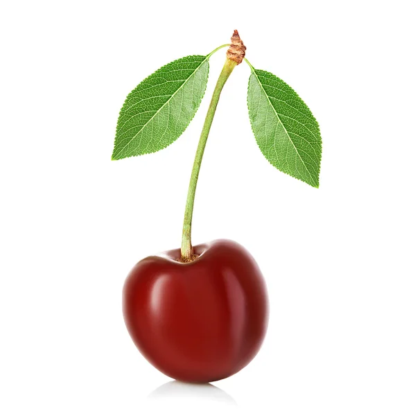 Cherry elszigetelt fehér alapon — Stock Fotó