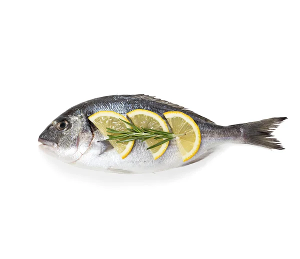 Dorado fish — Fotografie, imagine de stoc