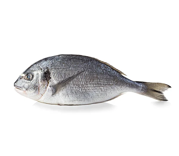 Pescado dorado — Foto de Stock