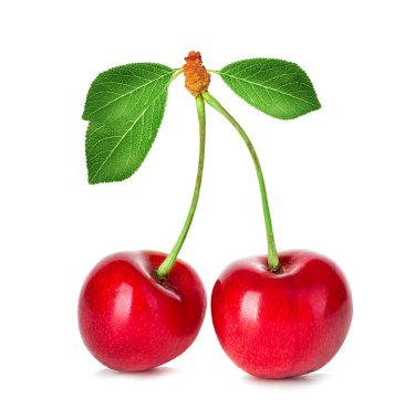 beyaz arkaplanda izole kirazlar