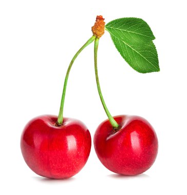 beyaz arkaplanda izole kirazlar