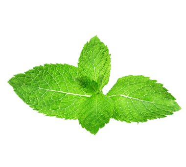 Beyaz arkaplanda izole edilmiş nane yaprakları