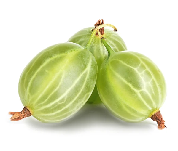 Gooseberry isolated on white background — Stock Photo, Image