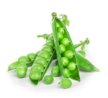 beyaz zemin üzerine taze yeşil bezelye Pod