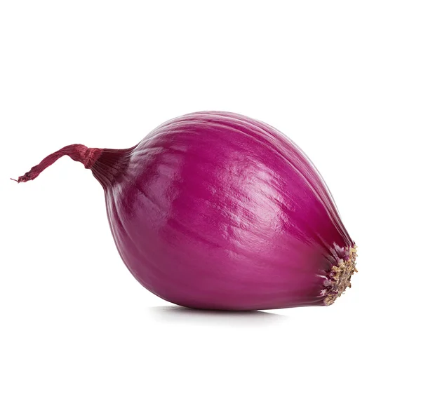 Red onion isolated on white background — Stock Photo, Image