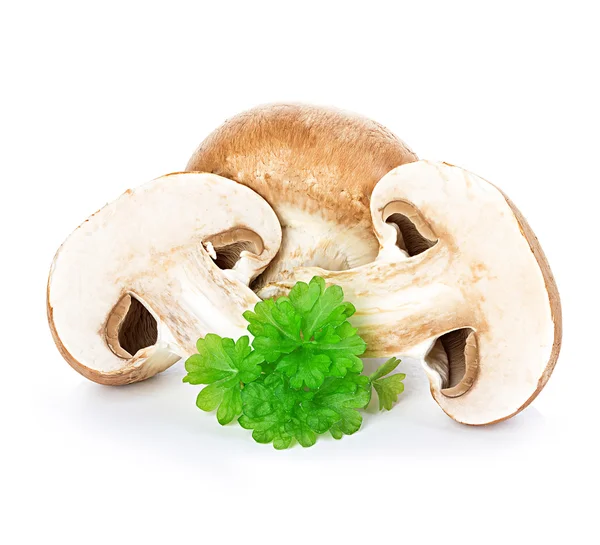 Коричневые грибы — стоковое фото