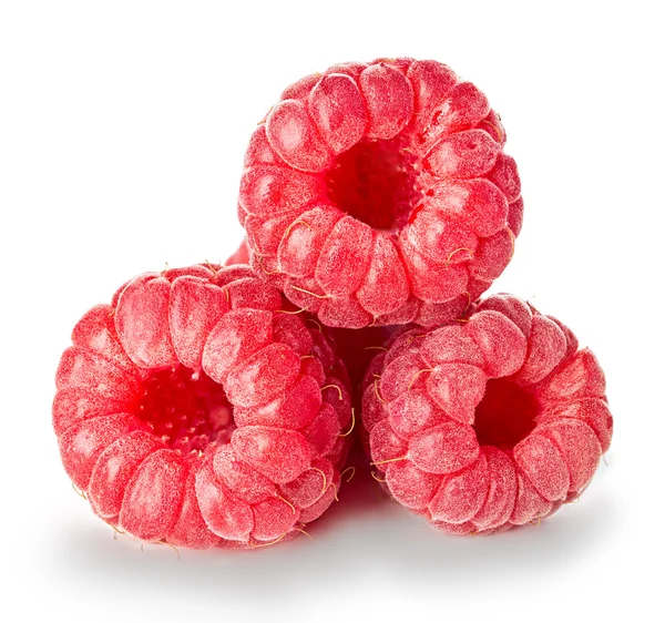 Raspberry isolated on white background. — Stock Photo, Image