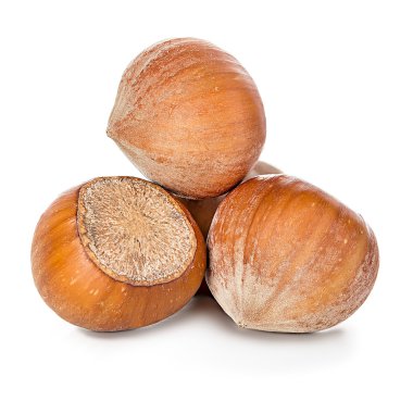 Fındık beyaz arkaplanda izole