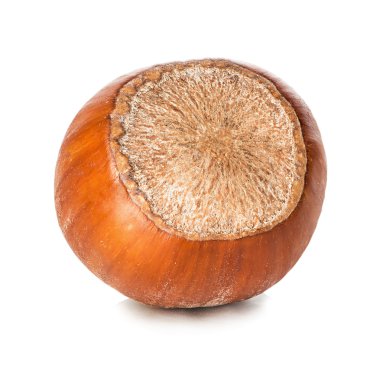 Fındık beyaz arkaplanda izole