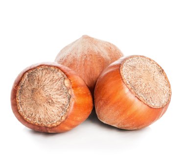 Fındık beyaz arkaplanda izole