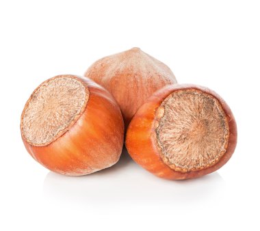 Fındık beyaz arkaplanda izole