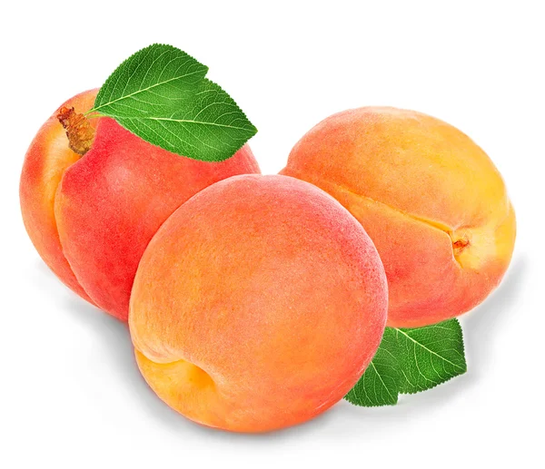 Aprikosen isoliert auf weißem Hintergrund. — Stockfoto