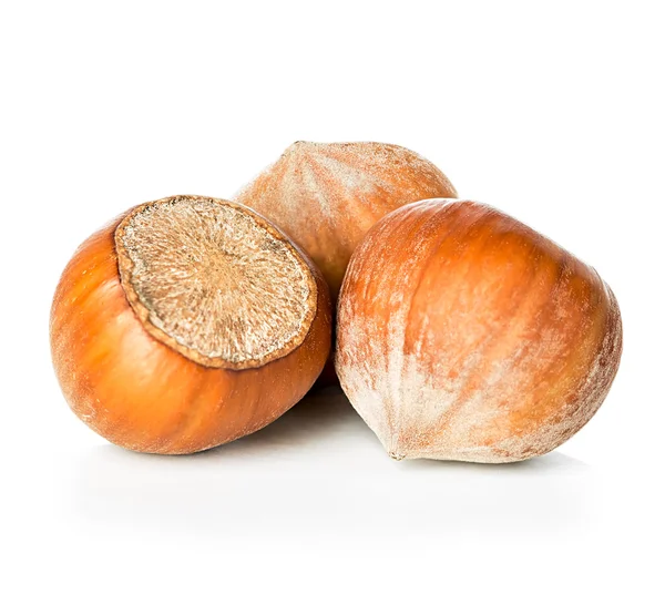 Fındıklar beyaz arkaplanda izole