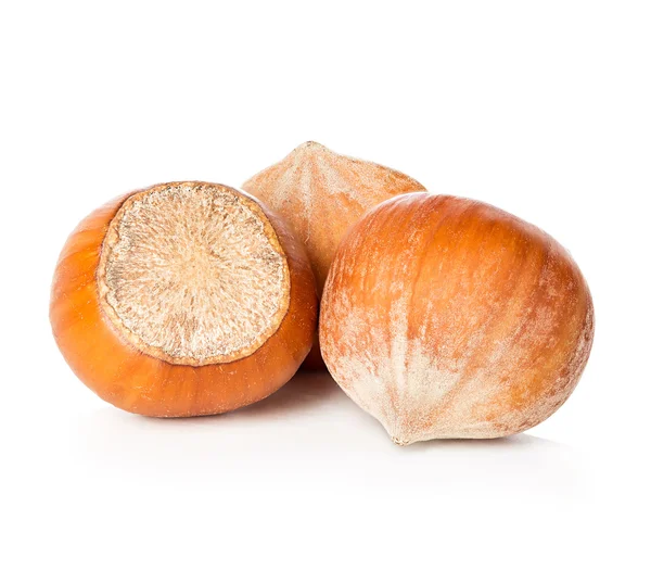 Fındıklar beyaz arkaplanda izole