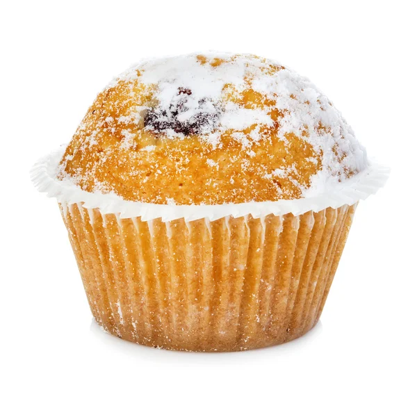 Blueberry muffin close-up isolated on white background. — Stock Photo, Image