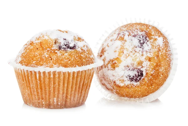 Muffins de arándano primer plano aislados sobre un fondo blanco . Fotos de stock libres de derechos