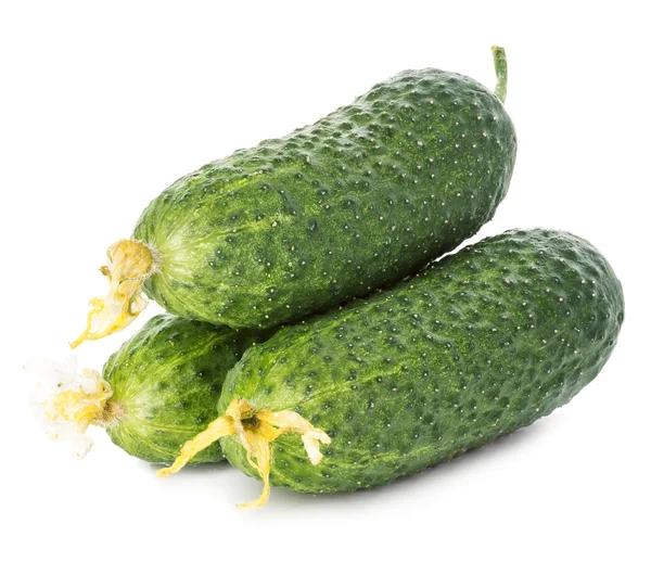 Komkommers geïsoleerd op witte achtergrond. Stockafbeelding