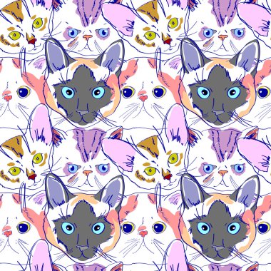 vektör kedi desen