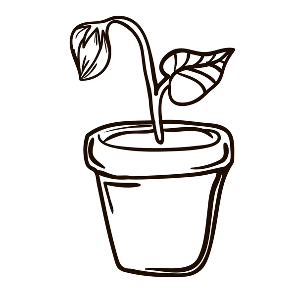 Sprout doodle illustration — Stock vektor