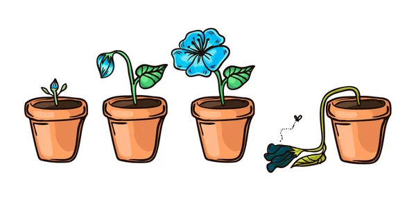 Ilustração do vetor ciclo de vida da flor — Vetor de Stock