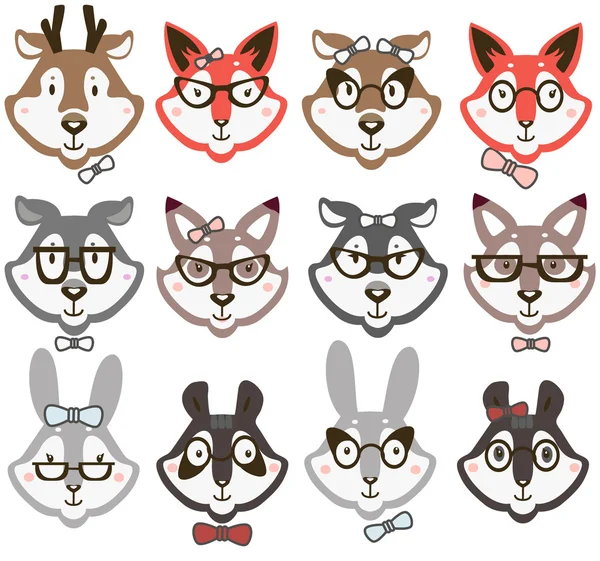 Animals in glasses — Stock Vector